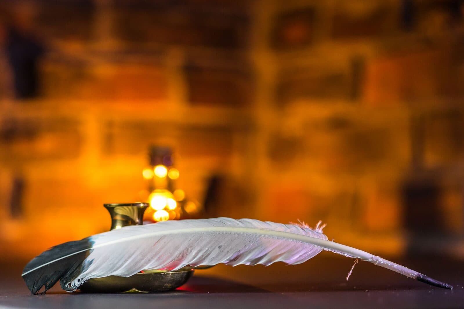 A single white quill feather resting in soft, warm candlelight.