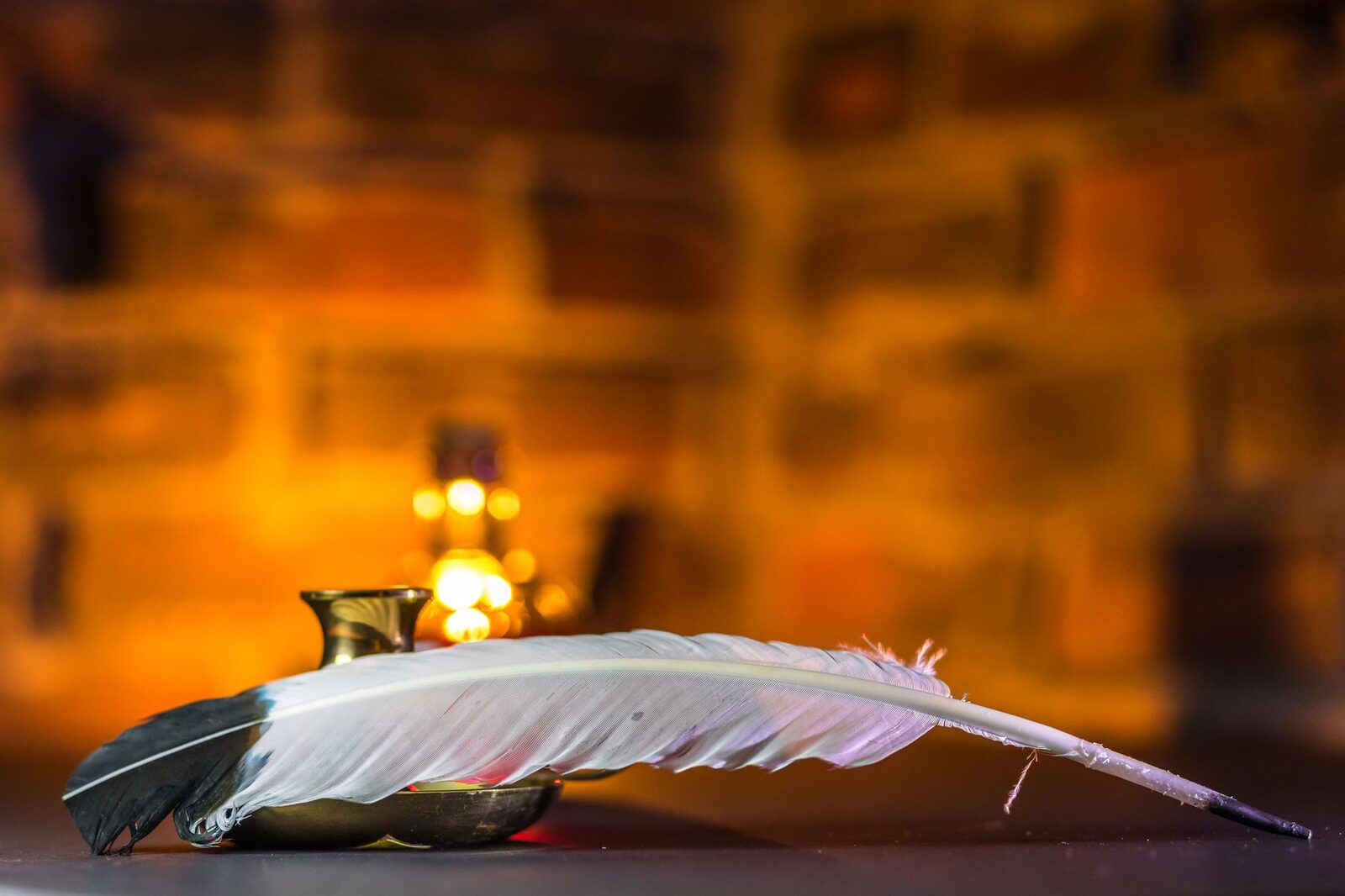 A single white quill feather resting in soft, warm candlelight.